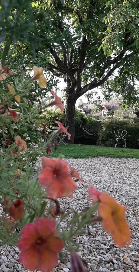 La Cuverie Du Chateau Corcelles-les-Arts エクステリア 写真
